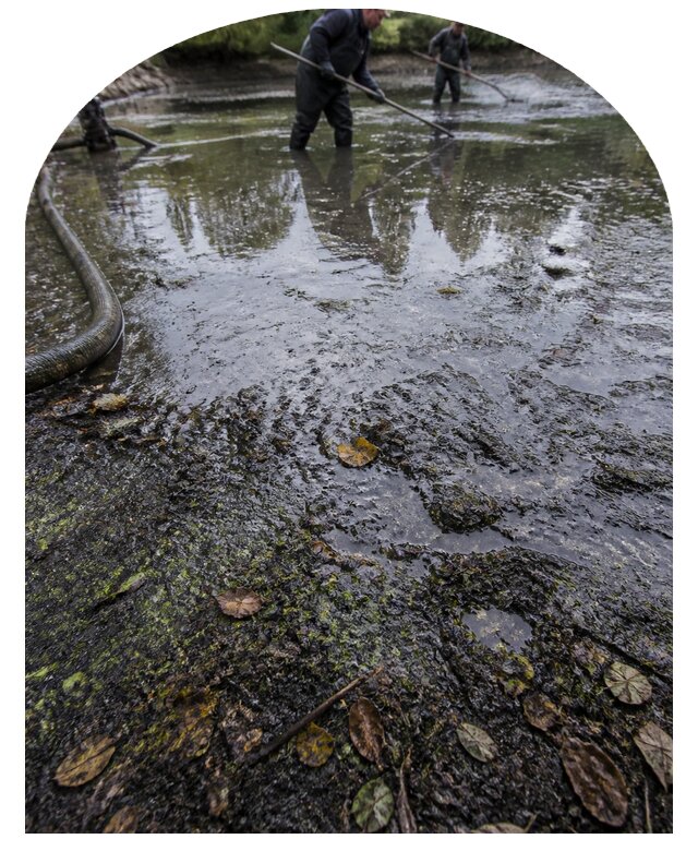 Очистка пруда в Электростали от ила мусора и водорослей с вывозом
